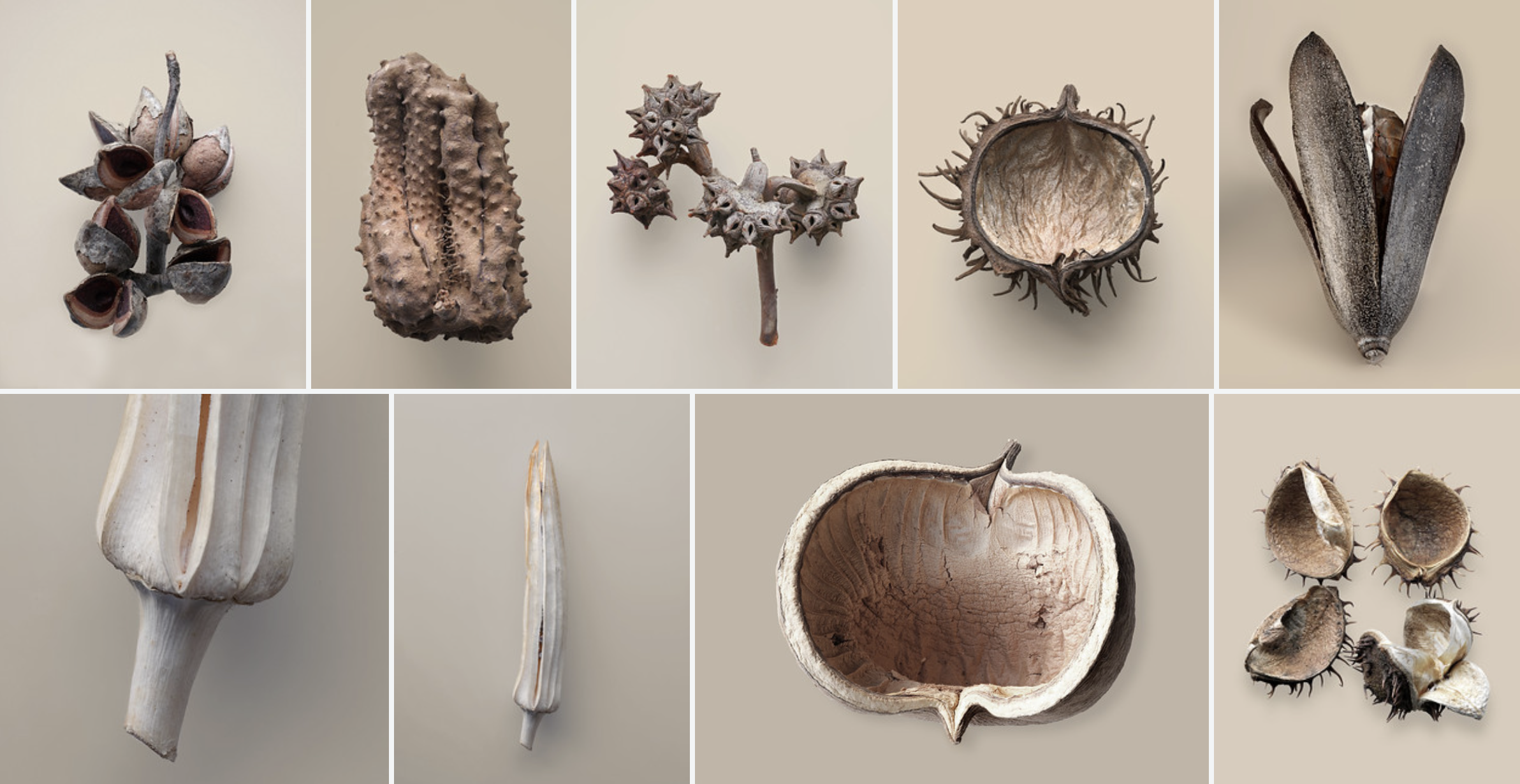 Bildschirmfoto 2026-01-09 um 16.18.04