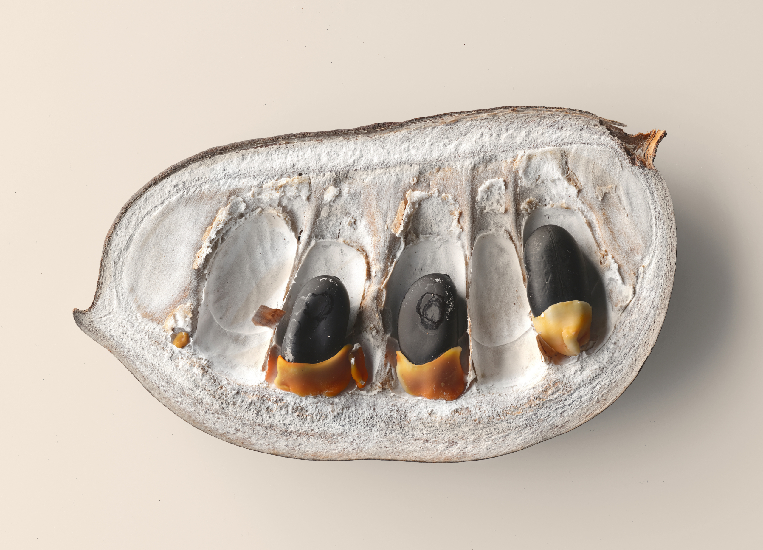 Stacked from 90 images. Method=B (R=10,S=3)