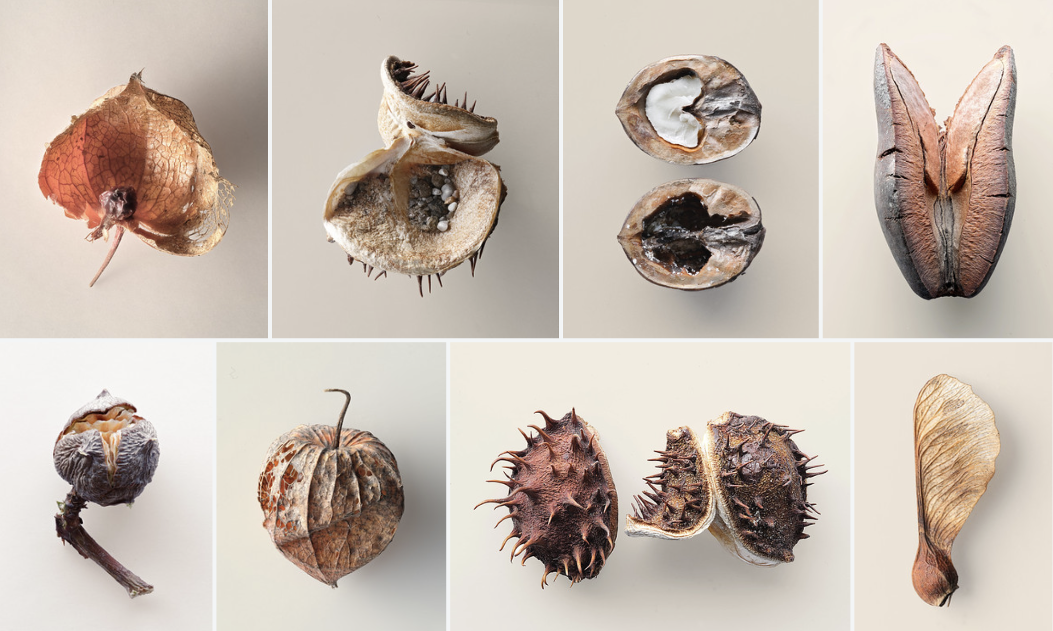 Bildschirmfoto 2026-03-06 um 18.16.07