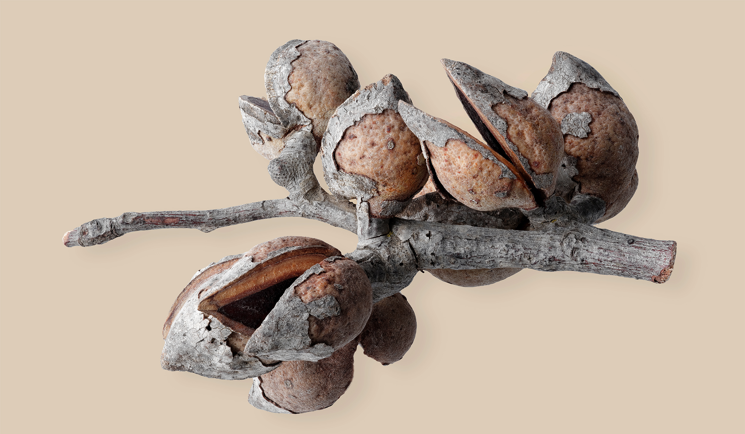 Stacked from 90 images. Method=B (R=10,S=2)